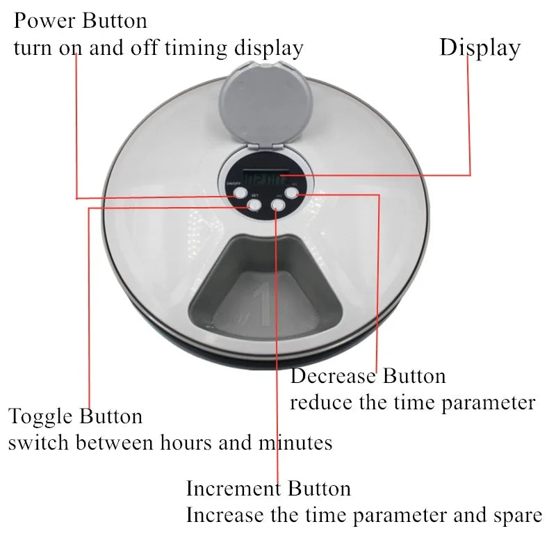 Automatic 6-Meal Pet Feeder